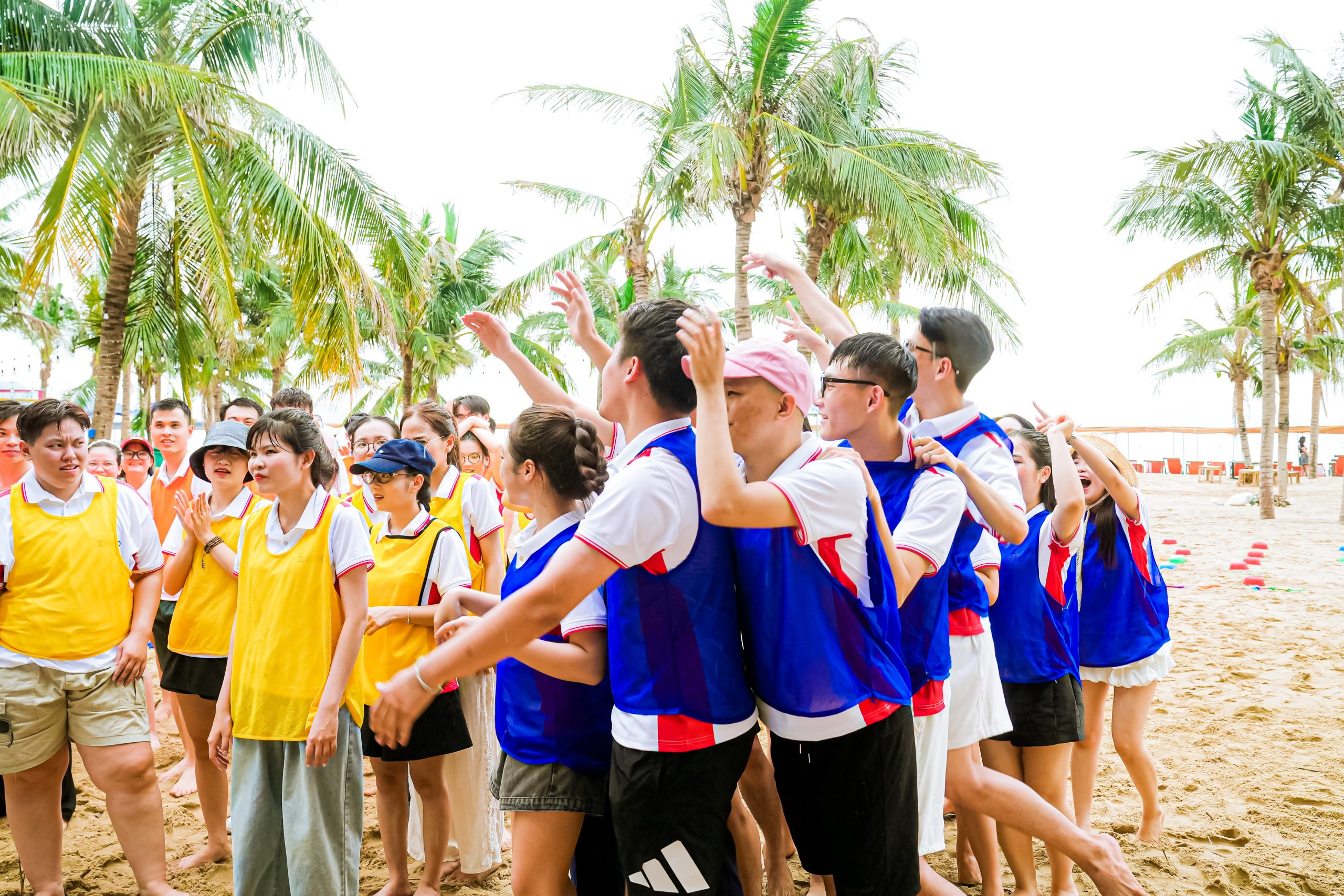Các đội chơi teambuilding trong chuyến du lịch hạ long 2025 của Zeno